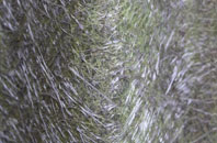 Eachwick fibreglass roof work